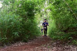 BIB: 
                            <button type="button" onclick="openModal(4264646)" class="btn btn-primary btn-sm float-right btn-popup" data-toggle="modal" data-target=".modal-high-quality">
                        <i class="fas fa-shopping-cart"></i> Add to Cart
                    </button>
                                            <button type="button" onclick="isThisMe(4264646, true)" class="btn btn-success btn-sm float-right btn-popup btn-isme hidden" data-toggle="tooltip" data-placement="bottom" title="นี่คือรูปของคุณใช่ไหม คลิกที่นี่เพื่อเอาเข้าอัลบั้ม">
                        <i class="fas fa-plus"></i> Add to album
                    </button>
                    <button type="button" onclick="isThisMe(4264646, false)" class="btn btn-warning btn-sm float-right btn-popup btn-isnotme hidden">
                        <i class="fas fa-ban"></i> Remove from album
                    </button>