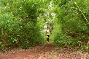 BIB: 
                            <button type="button" onclick="openModal(4266615)" class="btn btn-primary btn-sm float-right btn-popup" data-toggle="modal" data-target=".modal-high-quality">
                        <i class="fas fa-shopping-cart"></i> Add to Cart
                    </button>
                                            <button type="button" onclick="isThisMe(4266615, true)" class="btn btn-success btn-sm float-right btn-popup btn-isme hidden" data-toggle="tooltip" data-placement="bottom" title="นี่คือรูปของคุณใช่ไหม คลิกที่นี่เพื่อเอาเข้าอัลบั้ม">
                        <i class="fas fa-plus"></i> Add to album
                    </button>
                    <button type="button" onclick="isThisMe(4266615, false)" class="btn btn-warning btn-sm float-right btn-popup btn-isnotme hidden">
                        <i class="fas fa-ban"></i> Remove from album
                    </button>