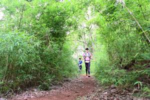 BIB: 
                            <button type="button" onclick="openModal(4265164)" class="btn btn-primary btn-sm float-right btn-popup" data-toggle="modal" data-target=".modal-high-quality">
                        <i class="fas fa-shopping-cart"></i> Add to Cart
                    </button>
                                            <button type="button" onclick="isThisMe(4265164, true)" class="btn btn-success btn-sm float-right btn-popup btn-isme hidden" data-toggle="tooltip" data-placement="bottom" title="นี่คือรูปของคุณใช่ไหม คลิกที่นี่เพื่อเอาเข้าอัลบั้ม">
                        <i class="fas fa-plus"></i> Add to album
                    </button>
                    <button type="button" onclick="isThisMe(4265164, false)" class="btn btn-warning btn-sm float-right btn-popup btn-isnotme hidden">
                        <i class="fas fa-ban"></i> Remove from album
                    </button>