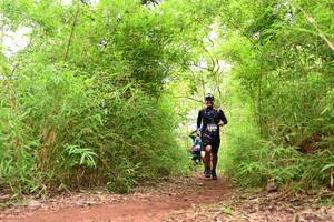 BIB: 
                            <button type="button" onclick="openModal(4300473)" class="btn btn-primary btn-sm float-right btn-popup" data-toggle="modal" data-target=".modal-high-quality">
                        <i class="fas fa-shopping-cart"></i> Add to Cart
                    </button>
                                            <button type="button" onclick="isThisMe(4300473, true)" class="btn btn-success btn-sm float-right btn-popup btn-isme hidden" data-toggle="tooltip" data-placement="bottom" title="นี่คือรูปของคุณใช่ไหม คลิกที่นี่เพื่อเอาเข้าอัลบั้ม">
                        <i class="fas fa-plus"></i> Add to album
                    </button>
                    <button type="button" onclick="isThisMe(4300473, false)" class="btn btn-warning btn-sm float-right btn-popup btn-isnotme hidden">
                        <i class="fas fa-ban"></i> Remove from album
                    </button>