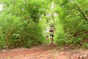 BIB: 
                            <button type="button" onclick="openModal(4294992)" class="btn btn-primary btn-sm float-right btn-popup" data-toggle="modal" data-target=".modal-high-quality">
                        <i class="fas fa-shopping-cart"></i> Add to Cart
                    </button>
                                            <button type="button" onclick="isThisMe(4294992, true)" class="btn btn-success btn-sm float-right btn-popup btn-isme hidden" data-toggle="tooltip" data-placement="bottom" title="นี่คือรูปของคุณใช่ไหม คลิกที่นี่เพื่อเอาเข้าอัลบั้ม">
                        <i class="fas fa-plus"></i> Add to album
                    </button>
                    <button type="button" onclick="isThisMe(4294992, false)" class="btn btn-warning btn-sm float-right btn-popup btn-isnotme hidden">
                        <i class="fas fa-ban"></i> Remove from album
                    </button>