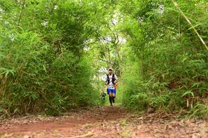 BIB: 
                            <button type="button" onclick="openModal(4266720)" class="btn btn-primary btn-sm float-right btn-popup" data-toggle="modal" data-target=".modal-high-quality">
                        <i class="fas fa-shopping-cart"></i> Add to Cart
                    </button>
                                            <button type="button" onclick="isThisMe(4266720, true)" class="btn btn-success btn-sm float-right btn-popup btn-isme hidden" data-toggle="tooltip" data-placement="bottom" title="นี่คือรูปของคุณใช่ไหม คลิกที่นี่เพื่อเอาเข้าอัลบั้ม">
                        <i class="fas fa-plus"></i> Add to album
                    </button>
                    <button type="button" onclick="isThisMe(4266720, false)" class="btn btn-warning btn-sm float-right btn-popup btn-isnotme hidden">
                        <i class="fas fa-ban"></i> Remove from album
                    </button>