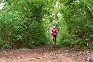 BIB: 
                            <button type="button" onclick="openModal(4266587)" class="btn btn-primary btn-sm float-right btn-popup" data-toggle="modal" data-target=".modal-high-quality">
                        <i class="fas fa-shopping-cart"></i> Add to Cart
                    </button>
                                            <button type="button" onclick="isThisMe(4266587, true)" class="btn btn-success btn-sm float-right btn-popup btn-isme hidden" data-toggle="tooltip" data-placement="bottom" title="นี่คือรูปของคุณใช่ไหม คลิกที่นี่เพื่อเอาเข้าอัลบั้ม">
                        <i class="fas fa-plus"></i> Add to album
                    </button>
                    <button type="button" onclick="isThisMe(4266587, false)" class="btn btn-warning btn-sm float-right btn-popup btn-isnotme hidden">
                        <i class="fas fa-ban"></i> Remove from album
                    </button>