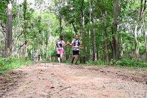 BIB: 
                            <button type="button" onclick="openModal(4340313)" class="btn btn-primary btn-sm float-right btn-popup" data-toggle="modal" data-target=".modal-high-quality">
                        <i class="fas fa-shopping-cart"></i> Add to Cart
                    </button>
                                            <button type="button" onclick="isThisMe(4340313, true)" class="btn btn-success btn-sm float-right btn-popup btn-isme hidden" data-toggle="tooltip" data-placement="bottom" title="นี่คือรูปของคุณใช่ไหม คลิกที่นี่เพื่อเอาเข้าอัลบั้ม">
                        <i class="fas fa-plus"></i> Add to album
                    </button>
                    <button type="button" onclick="isThisMe(4340313, false)" class="btn btn-warning btn-sm float-right btn-popup btn-isnotme hidden">
                        <i class="fas fa-ban"></i> Remove from album
                    </button>
