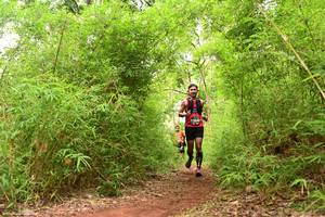 BIB: 
                            <button type="button" onclick="openModal(4295793)" class="btn btn-primary btn-sm float-right btn-popup" data-toggle="modal" data-target=".modal-high-quality">
                        <i class="fas fa-shopping-cart"></i> Add to Cart
                    </button>
                                            <button type="button" onclick="isThisMe(4295793, true)" class="btn btn-success btn-sm float-right btn-popup btn-isme hidden" data-toggle="tooltip" data-placement="bottom" title="นี่คือรูปของคุณใช่ไหม คลิกที่นี่เพื่อเอาเข้าอัลบั้ม">
                        <i class="fas fa-plus"></i> Add to album
                    </button>
                    <button type="button" onclick="isThisMe(4295793, false)" class="btn btn-warning btn-sm float-right btn-popup btn-isnotme hidden">
                        <i class="fas fa-ban"></i> Remove from album
                    </button>