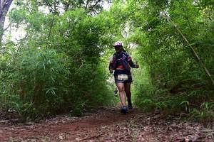 BIB: 
                            <button type="button" onclick="openModal(4264659)" class="btn btn-primary btn-sm float-right btn-popup" data-toggle="modal" data-target=".modal-high-quality">
                        <i class="fas fa-shopping-cart"></i> Add to Cart
                    </button>
                                            <button type="button" onclick="isThisMe(4264659, true)" class="btn btn-success btn-sm float-right btn-popup btn-isme hidden" data-toggle="tooltip" data-placement="bottom" title="นี่คือรูปของคุณใช่ไหม คลิกที่นี่เพื่อเอาเข้าอัลบั้ม">
                        <i class="fas fa-plus"></i> Add to album
                    </button>
                    <button type="button" onclick="isThisMe(4264659, false)" class="btn btn-warning btn-sm float-right btn-popup btn-isnotme hidden">
                        <i class="fas fa-ban"></i> Remove from album
                    </button>