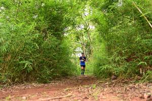 BIB: 
                            <button type="button" onclick="openModal(4266705)" class="btn btn-primary btn-sm float-right btn-popup" data-toggle="modal" data-target=".modal-high-quality">
                        <i class="fas fa-shopping-cart"></i> Add to Cart
                    </button>
                                            <button type="button" onclick="isThisMe(4266705, true)" class="btn btn-success btn-sm float-right btn-popup btn-isme hidden" data-toggle="tooltip" data-placement="bottom" title="นี่คือรูปของคุณใช่ไหม คลิกที่นี่เพื่อเอาเข้าอัลบั้ม">
                        <i class="fas fa-plus"></i> Add to album
                    </button>
                    <button type="button" onclick="isThisMe(4266705, false)" class="btn btn-warning btn-sm float-right btn-popup btn-isnotme hidden">
                        <i class="fas fa-ban"></i> Remove from album
                    </button>