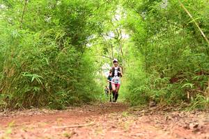 BIB: 
                            <button type="button" onclick="openModal(4295561)" class="btn btn-primary btn-sm float-right btn-popup" data-toggle="modal" data-target=".modal-high-quality">
                        <i class="fas fa-shopping-cart"></i> Add to Cart
                    </button>
                                            <button type="button" onclick="isThisMe(4295561, true)" class="btn btn-success btn-sm float-right btn-popup btn-isme hidden" data-toggle="tooltip" data-placement="bottom" title="นี่คือรูปของคุณใช่ไหม คลิกที่นี่เพื่อเอาเข้าอัลบั้ม">
                        <i class="fas fa-plus"></i> Add to album
                    </button>
                    <button type="button" onclick="isThisMe(4295561, false)" class="btn btn-warning btn-sm float-right btn-popup btn-isnotme hidden">
                        <i class="fas fa-ban"></i> Remove from album
                    </button>