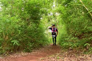 BIB: 
                            <button type="button" onclick="openModal(4266824)" class="btn btn-primary btn-sm float-right btn-popup" data-toggle="modal" data-target=".modal-high-quality">
                        <i class="fas fa-shopping-cart"></i> Add to Cart
                    </button>
                                            <button type="button" onclick="isThisMe(4266824, true)" class="btn btn-success btn-sm float-right btn-popup btn-isme hidden" data-toggle="tooltip" data-placement="bottom" title="นี่คือรูปของคุณใช่ไหม คลิกที่นี่เพื่อเอาเข้าอัลบั้ม">
                        <i class="fas fa-plus"></i> Add to album
                    </button>
                    <button type="button" onclick="isThisMe(4266824, false)" class="btn btn-warning btn-sm float-right btn-popup btn-isnotme hidden">
                        <i class="fas fa-ban"></i> Remove from album
                    </button>