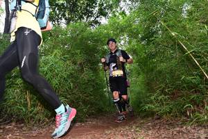 BIB: 
                            <button type="button" onclick="openModal(4264405)" class="btn btn-primary btn-sm float-right btn-popup" data-toggle="modal" data-target=".modal-high-quality">
                        <i class="fas fa-shopping-cart"></i> Add to Cart
                    </button>
                                            <button type="button" onclick="isThisMe(4264405, true)" class="btn btn-success btn-sm float-right btn-popup btn-isme hidden" data-toggle="tooltip" data-placement="bottom" title="นี่คือรูปของคุณใช่ไหม คลิกที่นี่เพื่อเอาเข้าอัลบั้ม">
                        <i class="fas fa-plus"></i> Add to album
                    </button>
                    <button type="button" onclick="isThisMe(4264405, false)" class="btn btn-warning btn-sm float-right btn-popup btn-isnotme hidden">
                        <i class="fas fa-ban"></i> Remove from album
                    </button>