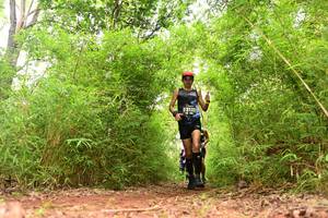 BIB: 3122
                            <button type="button" onclick="openModal(4268785)" class="btn btn-primary btn-sm float-right btn-popup" data-toggle="modal" data-target=".modal-high-quality">
                        <i class="fas fa-shopping-cart"></i> Add to Cart
                    </button>
                                            <button type="button" onclick="isThisMe(4268785, true)" class="btn btn-success btn-sm float-right btn-popup btn-isme hidden" data-toggle="tooltip" data-placement="bottom" title="นี่คือรูปของคุณใช่ไหม คลิกที่นี่เพื่อเอาเข้าอัลบั้ม">
                        <i class="fas fa-plus"></i> Add to album
                    </button>
                    <button type="button" onclick="isThisMe(4268785, false)" class="btn btn-warning btn-sm float-right btn-popup btn-isnotme hidden">
                        <i class="fas fa-ban"></i> Remove from album
                    </button>