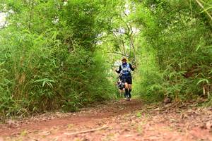 BIB: 
                            <button type="button" onclick="openModal(4268267)" class="btn btn-primary btn-sm float-right btn-popup" data-toggle="modal" data-target=".modal-high-quality">
                        <i class="fas fa-shopping-cart"></i> Add to Cart
                    </button>
                                            <button type="button" onclick="isThisMe(4268267, true)" class="btn btn-success btn-sm float-right btn-popup btn-isme hidden" data-toggle="tooltip" data-placement="bottom" title="นี่คือรูปของคุณใช่ไหม คลิกที่นี่เพื่อเอาเข้าอัลบั้ม">
                        <i class="fas fa-plus"></i> Add to album
                    </button>
                    <button type="button" onclick="isThisMe(4268267, false)" class="btn btn-warning btn-sm float-right btn-popup btn-isnotme hidden">
                        <i class="fas fa-ban"></i> Remove from album
                    </button>