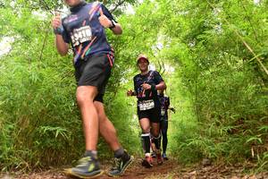 BIB: 3416, 23020
                            <button type="button" onclick="openModal(4291076)" class="btn btn-primary btn-sm float-right btn-popup" data-toggle="modal" data-target=".modal-high-quality">
                        <i class="fas fa-shopping-cart"></i> Add to Cart
                    </button>
                                            <button type="button" onclick="isThisMe(4291076, true)" class="btn btn-success btn-sm float-right btn-popup btn-isme hidden" data-toggle="tooltip" data-placement="bottom" title="นี่คือรูปของคุณใช่ไหม คลิกที่นี่เพื่อเอาเข้าอัลบั้ม">
                        <i class="fas fa-plus"></i> Add to album
                    </button>
                    <button type="button" onclick="isThisMe(4291076, false)" class="btn btn-warning btn-sm float-right btn-popup btn-isnotme hidden">
                        <i class="fas fa-ban"></i> Remove from album
                    </button>