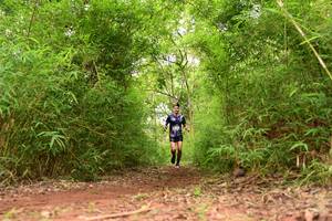 BIB: 
                            <button type="button" onclick="openModal(4266715)" class="btn btn-primary btn-sm float-right btn-popup" data-toggle="modal" data-target=".modal-high-quality">
                        <i class="fas fa-shopping-cart"></i> Add to Cart
                    </button>
                                            <button type="button" onclick="isThisMe(4266715, true)" class="btn btn-success btn-sm float-right btn-popup btn-isme hidden" data-toggle="tooltip" data-placement="bottom" title="นี่คือรูปของคุณใช่ไหม คลิกที่นี่เพื่อเอาเข้าอัลบั้ม">
                        <i class="fas fa-plus"></i> Add to album
                    </button>
                    <button type="button" onclick="isThisMe(4266715, false)" class="btn btn-warning btn-sm float-right btn-popup btn-isnotme hidden">
                        <i class="fas fa-ban"></i> Remove from album
                    </button>