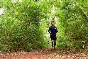 BIB: 
                            <button type="button" onclick="openModal(4268337)" class="btn btn-primary btn-sm float-right btn-popup" data-toggle="modal" data-target=".modal-high-quality">
                        <i class="fas fa-shopping-cart"></i> Add to Cart
                    </button>
                                            <button type="button" onclick="isThisMe(4268337, true)" class="btn btn-success btn-sm float-right btn-popup btn-isme hidden" data-toggle="tooltip" data-placement="bottom" title="นี่คือรูปของคุณใช่ไหม คลิกที่นี่เพื่อเอาเข้าอัลบั้ม">
                        <i class="fas fa-plus"></i> Add to album
                    </button>
                    <button type="button" onclick="isThisMe(4268337, false)" class="btn btn-warning btn-sm float-right btn-popup btn-isnotme hidden">
                        <i class="fas fa-ban"></i> Remove from album
                    </button>