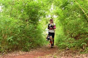 BIB: 
                            <button type="button" onclick="openModal(4266884)" class="btn btn-primary btn-sm float-right btn-popup" data-toggle="modal" data-target=".modal-high-quality">
                        <i class="fas fa-shopping-cart"></i> Add to Cart
                    </button>
                                            <button type="button" onclick="isThisMe(4266884, true)" class="btn btn-success btn-sm float-right btn-popup btn-isme hidden" data-toggle="tooltip" data-placement="bottom" title="นี่คือรูปของคุณใช่ไหม คลิกที่นี่เพื่อเอาเข้าอัลบั้ม">
                        <i class="fas fa-plus"></i> Add to album
                    </button>
                    <button type="button" onclick="isThisMe(4266884, false)" class="btn btn-warning btn-sm float-right btn-popup btn-isnotme hidden">
                        <i class="fas fa-ban"></i> Remove from album
                    </button>