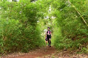 BIB: 
                            <button type="button" onclick="openModal(4266750)" class="btn btn-primary btn-sm float-right btn-popup" data-toggle="modal" data-target=".modal-high-quality">
                        <i class="fas fa-shopping-cart"></i> Add to Cart
                    </button>
                                            <button type="button" onclick="isThisMe(4266750, true)" class="btn btn-success btn-sm float-right btn-popup btn-isme hidden" data-toggle="tooltip" data-placement="bottom" title="นี่คือรูปของคุณใช่ไหม คลิกที่นี่เพื่อเอาเข้าอัลบั้ม">
                        <i class="fas fa-plus"></i> Add to album
                    </button>
                    <button type="button" onclick="isThisMe(4266750, false)" class="btn btn-warning btn-sm float-right btn-popup btn-isnotme hidden">
                        <i class="fas fa-ban"></i> Remove from album
                    </button>