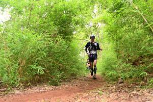 BIB: 
                            <button type="button" onclick="openModal(4302001)" class="btn btn-primary btn-sm float-right btn-popup" data-toggle="modal" data-target=".modal-high-quality">
                        <i class="fas fa-shopping-cart"></i> Add to Cart
                    </button>
                                            <button type="button" onclick="isThisMe(4302001, true)" class="btn btn-success btn-sm float-right btn-popup btn-isme hidden" data-toggle="tooltip" data-placement="bottom" title="นี่คือรูปของคุณใช่ไหม คลิกที่นี่เพื่อเอาเข้าอัลบั้ม">
                        <i class="fas fa-plus"></i> Add to album
                    </button>
                    <button type="button" onclick="isThisMe(4302001, false)" class="btn btn-warning btn-sm float-right btn-popup btn-isnotme hidden">
                        <i class="fas fa-ban"></i> Remove from album
                    </button>