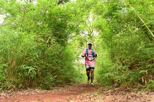 BIB: 
                            <button type="button" onclick="openModal(4290559)" class="btn btn-primary btn-sm float-right btn-popup" data-toggle="modal" data-target=".modal-high-quality">
                        <i class="fas fa-shopping-cart"></i> Add to Cart
                    </button>
                                            <button type="button" onclick="isThisMe(4290559, true)" class="btn btn-success btn-sm float-right btn-popup btn-isme hidden" data-toggle="tooltip" data-placement="bottom" title="นี่คือรูปของคุณใช่ไหม คลิกที่นี่เพื่อเอาเข้าอัลบั้ม">
                        <i class="fas fa-plus"></i> Add to album
                    </button>
                    <button type="button" onclick="isThisMe(4290559, false)" class="btn btn-warning btn-sm float-right btn-popup btn-isnotme hidden">
                        <i class="fas fa-ban"></i> Remove from album
                    </button>