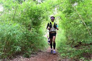 BIB: 
                            <button type="button" onclick="openModal(4266519)" class="btn btn-primary btn-sm float-right btn-popup" data-toggle="modal" data-target=".modal-high-quality">
                        <i class="fas fa-shopping-cart"></i> Add to Cart
                    </button>
                                            <button type="button" onclick="isThisMe(4266519, true)" class="btn btn-success btn-sm float-right btn-popup btn-isme hidden" data-toggle="tooltip" data-placement="bottom" title="นี่คือรูปของคุณใช่ไหม คลิกที่นี่เพื่อเอาเข้าอัลบั้ม">
                        <i class="fas fa-plus"></i> Add to album
                    </button>
                    <button type="button" onclick="isThisMe(4266519, false)" class="btn btn-warning btn-sm float-right btn-popup btn-isnotme hidden">
                        <i class="fas fa-ban"></i> Remove from album
                    </button>