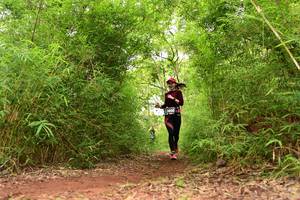 BIB: 3800
                            <button type="button" onclick="openModal(4266784)" class="btn btn-primary btn-sm float-right btn-popup" data-toggle="modal" data-target=".modal-high-quality">
                        <i class="fas fa-shopping-cart"></i> Add to Cart
                    </button>
                                            <button type="button" onclick="isThisMe(4266784, true)" class="btn btn-success btn-sm float-right btn-popup btn-isme hidden" data-toggle="tooltip" data-placement="bottom" title="นี่คือรูปของคุณใช่ไหม คลิกที่นี่เพื่อเอาเข้าอัลบั้ม">
                        <i class="fas fa-plus"></i> Add to album
                    </button>
                    <button type="button" onclick="isThisMe(4266784, false)" class="btn btn-warning btn-sm float-right btn-popup btn-isnotme hidden">
                        <i class="fas fa-ban"></i> Remove from album
                    </button>