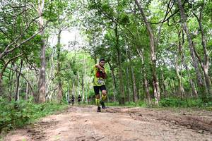 BIB: 
                            <button type="button" onclick="openModal(4334193)" class="btn btn-primary btn-sm float-right btn-popup" data-toggle="modal" data-target=".modal-high-quality">
                        <i class="fas fa-shopping-cart"></i> Add to Cart
                    </button>
                                            <button type="button" onclick="isThisMe(4334193, true)" class="btn btn-success btn-sm float-right btn-popup btn-isme hidden" data-toggle="tooltip" data-placement="bottom" title="นี่คือรูปของคุณใช่ไหม คลิกที่นี่เพื่อเอาเข้าอัลบั้ม">
                        <i class="fas fa-plus"></i> Add to album
                    </button>
                    <button type="button" onclick="isThisMe(4334193, false)" class="btn btn-warning btn-sm float-right btn-popup btn-isnotme hidden">
                        <i class="fas fa-ban"></i> Remove from album
                    </button>