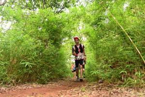 BIB: 
                            <button type="button" onclick="openModal(4268647)" class="btn btn-primary btn-sm float-right btn-popup" data-toggle="modal" data-target=".modal-high-quality">
                        <i class="fas fa-shopping-cart"></i> Add to Cart
                    </button>
                                            <button type="button" onclick="isThisMe(4268647, true)" class="btn btn-success btn-sm float-right btn-popup btn-isme hidden" data-toggle="tooltip" data-placement="bottom" title="นี่คือรูปของคุณใช่ไหม คลิกที่นี่เพื่อเอาเข้าอัลบั้ม">
                        <i class="fas fa-plus"></i> Add to album
                    </button>
                    <button type="button" onclick="isThisMe(4268647, false)" class="btn btn-warning btn-sm float-right btn-popup btn-isnotme hidden">
                        <i class="fas fa-ban"></i> Remove from album
                    </button>