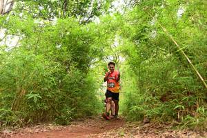 BIB: 
                            <button type="button" onclick="openModal(4268662)" class="btn btn-primary btn-sm float-right btn-popup" data-toggle="modal" data-target=".modal-high-quality">
                        <i class="fas fa-shopping-cart"></i> Add to Cart
                    </button>
                                            <button type="button" onclick="isThisMe(4268662, true)" class="btn btn-success btn-sm float-right btn-popup btn-isme hidden" data-toggle="tooltip" data-placement="bottom" title="นี่คือรูปของคุณใช่ไหม คลิกที่นี่เพื่อเอาเข้าอัลบั้ม">
                        <i class="fas fa-plus"></i> Add to album
                    </button>
                    <button type="button" onclick="isThisMe(4268662, false)" class="btn btn-warning btn-sm float-right btn-popup btn-isnotme hidden">
                        <i class="fas fa-ban"></i> Remove from album
                    </button>