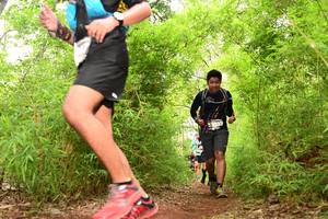 BIB: 3333
                            <button type="button" onclick="openModal(4301743)" class="btn btn-primary btn-sm float-right btn-popup" data-toggle="modal" data-target=".modal-high-quality">
                        <i class="fas fa-shopping-cart"></i> Add to Cart
                    </button>
                                            <button type="button" onclick="isThisMe(4301743, true)" class="btn btn-success btn-sm float-right btn-popup btn-isme hidden" data-toggle="tooltip" data-placement="bottom" title="นี่คือรูปของคุณใช่ไหม คลิกที่นี่เพื่อเอาเข้าอัลบั้ม">
                        <i class="fas fa-plus"></i> Add to album
                    </button>
                    <button type="button" onclick="isThisMe(4301743, false)" class="btn btn-warning btn-sm float-right btn-popup btn-isnotme hidden">
                        <i class="fas fa-ban"></i> Remove from album
                    </button>