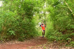 BIB: 
                            <button type="button" onclick="openModal(4266805)" class="btn btn-primary btn-sm float-right btn-popup" data-toggle="modal" data-target=".modal-high-quality">
                        <i class="fas fa-shopping-cart"></i> Add to Cart
                    </button>
                                            <button type="button" onclick="isThisMe(4266805, true)" class="btn btn-success btn-sm float-right btn-popup btn-isme hidden" data-toggle="tooltip" data-placement="bottom" title="นี่คือรูปของคุณใช่ไหม คลิกที่นี่เพื่อเอาเข้าอัลบั้ม">
                        <i class="fas fa-plus"></i> Add to album
                    </button>
                    <button type="button" onclick="isThisMe(4266805, false)" class="btn btn-warning btn-sm float-right btn-popup btn-isnotme hidden">
                        <i class="fas fa-ban"></i> Remove from album
                    </button>