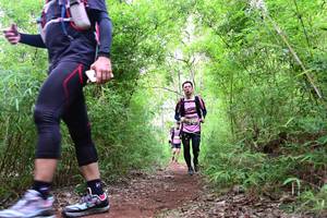 BIB: 
                            <button type="button" onclick="openModal(4265214)" class="btn btn-primary btn-sm float-right btn-popup" data-toggle="modal" data-target=".modal-high-quality">
                        <i class="fas fa-shopping-cart"></i> Add to Cart
                    </button>
                                            <button type="button" onclick="isThisMe(4265214, true)" class="btn btn-success btn-sm float-right btn-popup btn-isme hidden" data-toggle="tooltip" data-placement="bottom" title="นี่คือรูปของคุณใช่ไหม คลิกที่นี่เพื่อเอาเข้าอัลบั้ม">
                        <i class="fas fa-plus"></i> Add to album
                    </button>
                    <button type="button" onclick="isThisMe(4265214, false)" class="btn btn-warning btn-sm float-right btn-popup btn-isnotme hidden">
                        <i class="fas fa-ban"></i> Remove from album
                    </button>