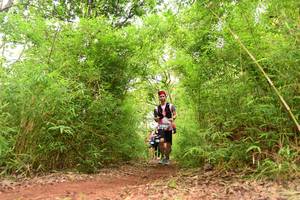 BIB: 
                            <button type="button" onclick="openModal(4268643)" class="btn btn-primary btn-sm float-right btn-popup" data-toggle="modal" data-target=".modal-high-quality">
                        <i class="fas fa-shopping-cart"></i> Add to Cart
                    </button>
                                            <button type="button" onclick="isThisMe(4268643, true)" class="btn btn-success btn-sm float-right btn-popup btn-isme hidden" data-toggle="tooltip" data-placement="bottom" title="นี่คือรูปของคุณใช่ไหม คลิกที่นี่เพื่อเอาเข้าอัลบั้ม">
                        <i class="fas fa-plus"></i> Add to album
                    </button>
                    <button type="button" onclick="isThisMe(4268643, false)" class="btn btn-warning btn-sm float-right btn-popup btn-isnotme hidden">
                        <i class="fas fa-ban"></i> Remove from album
                    </button>