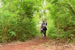 BIB: 
                            <button type="button" onclick="openModal(4266867)" class="btn btn-primary btn-sm float-right btn-popup" data-toggle="modal" data-target=".modal-high-quality">
                        <i class="fas fa-shopping-cart"></i> Add to Cart
                    </button>
                                            <button type="button" onclick="isThisMe(4266867, true)" class="btn btn-success btn-sm float-right btn-popup btn-isme hidden" data-toggle="tooltip" data-placement="bottom" title="นี่คือรูปของคุณใช่ไหม คลิกที่นี่เพื่อเอาเข้าอัลบั้ม">
                        <i class="fas fa-plus"></i> Add to album
                    </button>
                    <button type="button" onclick="isThisMe(4266867, false)" class="btn btn-warning btn-sm float-right btn-popup btn-isnotme hidden">
                        <i class="fas fa-ban"></i> Remove from album
                    </button>