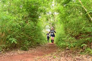 BIB: 
                            <button type="button" onclick="openModal(4266852)" class="btn btn-primary btn-sm float-right btn-popup" data-toggle="modal" data-target=".modal-high-quality">
                        <i class="fas fa-shopping-cart"></i> Add to Cart
                    </button>
                                            <button type="button" onclick="isThisMe(4266852, true)" class="btn btn-success btn-sm float-right btn-popup btn-isme hidden" data-toggle="tooltip" data-placement="bottom" title="นี่คือรูปของคุณใช่ไหม คลิกที่นี่เพื่อเอาเข้าอัลบั้ม">
                        <i class="fas fa-plus"></i> Add to album
                    </button>
                    <button type="button" onclick="isThisMe(4266852, false)" class="btn btn-warning btn-sm float-right btn-popup btn-isnotme hidden">
                        <i class="fas fa-ban"></i> Remove from album
                    </button>