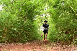 BIB: 301
                            <button type="button" onclick="openModal(4268289)" class="btn btn-primary btn-sm float-right btn-popup" data-toggle="modal" data-target=".modal-high-quality">
                        <i class="fas fa-shopping-cart"></i> Add to Cart
                    </button>
                                            <button type="button" onclick="isThisMe(4268289, true)" class="btn btn-success btn-sm float-right btn-popup btn-isme hidden" data-toggle="tooltip" data-placement="bottom" title="นี่คือรูปของคุณใช่ไหม คลิกที่นี่เพื่อเอาเข้าอัลบั้ม">
                        <i class="fas fa-plus"></i> Add to album
                    </button>
                    <button type="button" onclick="isThisMe(4268289, false)" class="btn btn-warning btn-sm float-right btn-popup btn-isnotme hidden">
                        <i class="fas fa-ban"></i> Remove from album
                    </button>