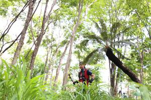 BIB: 
                            <button type="button" onclick="openModal(3977391)" class="btn btn-primary btn-sm float-right btn-popup" data-toggle="modal" data-target=".modal-high-quality">
                        <i class="fas fa-shopping-cart"></i> Add to Cart
                    </button>
                                            <button type="button" onclick="isThisMe(3977391, true)" class="btn btn-success btn-sm float-right btn-popup btn-isme hidden" data-toggle="tooltip" data-placement="bottom" title="นี่คือรูปของคุณใช่ไหม คลิกที่นี่เพื่อเอาเข้าอัลบั้ม">
                        <i class="fas fa-plus"></i> Add to album
                    </button>
                    <button type="button" onclick="isThisMe(3977391, false)" class="btn btn-warning btn-sm float-right btn-popup btn-isnotme hidden">
                        <i class="fas fa-ban"></i> Remove from album
                    </button>
