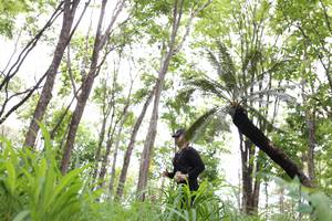 BIB: 
                            <button type="button" onclick="openModal(3980018)" class="btn btn-primary btn-sm float-right btn-popup" data-toggle="modal" data-target=".modal-high-quality">
                        <i class="fas fa-shopping-cart"></i> Add to Cart
                    </button>
                                            <button type="button" onclick="isThisMe(3980018, true)" class="btn btn-success btn-sm float-right btn-popup btn-isme hidden" data-toggle="tooltip" data-placement="bottom" title="นี่คือรูปของคุณใช่ไหม คลิกที่นี่เพื่อเอาเข้าอัลบั้ม">
                        <i class="fas fa-plus"></i> Add to album
                    </button>
                    <button type="button" onclick="isThisMe(3980018, false)" class="btn btn-warning btn-sm float-right btn-popup btn-isnotme hidden">
                        <i class="fas fa-ban"></i> Remove from album
                    </button>