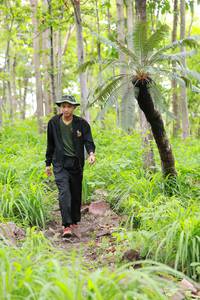 BIB: 
                            <button type="button" onclick="openModal(3955573)" class="btn btn-primary btn-sm float-right btn-popup" data-toggle="modal" data-target=".modal-high-quality">
                        <i class="fas fa-shopping-cart"></i> Add to Cart
                    </button>
                                            <button type="button" onclick="isThisMe(3955573, true)" class="btn btn-success btn-sm float-right btn-popup btn-isme hidden" data-toggle="tooltip" data-placement="bottom" title="นี่คือรูปของคุณใช่ไหม คลิกที่นี่เพื่อเอาเข้าอัลบั้ม">
                        <i class="fas fa-plus"></i> Add to album
                    </button>
                    <button type="button" onclick="isThisMe(3955573, false)" class="btn btn-warning btn-sm float-right btn-popup btn-isnotme hidden">
                        <i class="fas fa-ban"></i> Remove from album
                    </button>