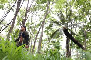 BIB: 
                            <button type="button" onclick="openModal(3980002)" class="btn btn-primary btn-sm float-right btn-popup" data-toggle="modal" data-target=".modal-high-quality">
                        <i class="fas fa-shopping-cart"></i> Add to Cart
                    </button>
                                            <button type="button" onclick="isThisMe(3980002, true)" class="btn btn-success btn-sm float-right btn-popup btn-isme hidden" data-toggle="tooltip" data-placement="bottom" title="นี่คือรูปของคุณใช่ไหม คลิกที่นี่เพื่อเอาเข้าอัลบั้ม">
                        <i class="fas fa-plus"></i> Add to album
                    </button>
                    <button type="button" onclick="isThisMe(3980002, false)" class="btn btn-warning btn-sm float-right btn-popup btn-isnotme hidden">
                        <i class="fas fa-ban"></i> Remove from album
                    </button>