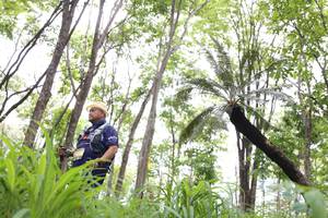 BIB: 
                            <button type="button" onclick="openModal(3980041)" class="btn btn-primary btn-sm float-right btn-popup" data-toggle="modal" data-target=".modal-high-quality">
                        <i class="fas fa-shopping-cart"></i> Add to Cart
                    </button>
                                            <button type="button" onclick="isThisMe(3980041, true)" class="btn btn-success btn-sm float-right btn-popup btn-isme hidden" data-toggle="tooltip" data-placement="bottom" title="นี่คือรูปของคุณใช่ไหม คลิกที่นี่เพื่อเอาเข้าอัลบั้ม">
                        <i class="fas fa-plus"></i> Add to album
                    </button>
                    <button type="button" onclick="isThisMe(3980041, false)" class="btn btn-warning btn-sm float-right btn-popup btn-isnotme hidden">
                        <i class="fas fa-ban"></i> Remove from album
                    </button>