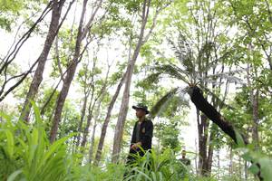 BIB: 
                            <button type="button" onclick="openModal(3980008)" class="btn btn-primary btn-sm float-right btn-popup" data-toggle="modal" data-target=".modal-high-quality">
                        <i class="fas fa-shopping-cart"></i> Add to Cart
                    </button>
                                            <button type="button" onclick="isThisMe(3980008, true)" class="btn btn-success btn-sm float-right btn-popup btn-isme hidden" data-toggle="tooltip" data-placement="bottom" title="นี่คือรูปของคุณใช่ไหม คลิกที่นี่เพื่อเอาเข้าอัลบั้ม">
                        <i class="fas fa-plus"></i> Add to album
                    </button>
                    <button type="button" onclick="isThisMe(3980008, false)" class="btn btn-warning btn-sm float-right btn-popup btn-isnotme hidden">
                        <i class="fas fa-ban"></i> Remove from album
                    </button>