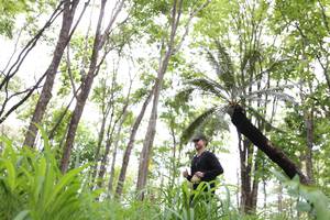 BIB: 
                            <button type="button" onclick="openModal(3980013)" class="btn btn-primary btn-sm float-right btn-popup" data-toggle="modal" data-target=".modal-high-quality">
                        <i class="fas fa-shopping-cart"></i> Add to Cart
                    </button>
                                            <button type="button" onclick="isThisMe(3980013, true)" class="btn btn-success btn-sm float-right btn-popup btn-isme hidden" data-toggle="tooltip" data-placement="bottom" title="นี่คือรูปของคุณใช่ไหม คลิกที่นี่เพื่อเอาเข้าอัลบั้ม">
                        <i class="fas fa-plus"></i> Add to album
                    </button>
                    <button type="button" onclick="isThisMe(3980013, false)" class="btn btn-warning btn-sm float-right btn-popup btn-isnotme hidden">
                        <i class="fas fa-ban"></i> Remove from album
                    </button>