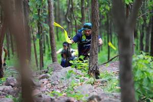 BIB: 5007
                            <button type="button" onclick="openModal(3955684)" class="btn btn-primary btn-sm float-right btn-popup" data-toggle="modal" data-target=".modal-high-quality">
                        <i class="fas fa-shopping-cart"></i> Add to Cart
                    </button>
                                            <button type="button" onclick="isThisMe(3955684, true)" class="btn btn-success btn-sm float-right btn-popup btn-isme hidden" data-toggle="tooltip" data-placement="bottom" title="นี่คือรูปของคุณใช่ไหม คลิกที่นี่เพื่อเอาเข้าอัลบั้ม">
                        <i class="fas fa-plus"></i> Add to album
                    </button>
                    <button type="button" onclick="isThisMe(3955684, false)" class="btn btn-warning btn-sm float-right btn-popup btn-isnotme hidden">
                        <i class="fas fa-ban"></i> Remove from album
                    </button>