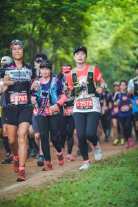 BIB: 62797, 2572
                            <button type="button" onclick="openModal(4330241)" class="btn btn-primary btn-sm float-right btn-popup" data-toggle="modal" data-target=".modal-high-quality">
                        <i class="fas fa-shopping-cart"></i> Add to Cart
                    </button>
                                            <button type="button" onclick="isThisMe(4330241, true)" class="btn btn-success btn-sm float-right btn-popup btn-isme hidden" data-toggle="tooltip" data-placement="bottom" title="นี่คือรูปของคุณใช่ไหม คลิกที่นี่เพื่อเอาเข้าอัลบั้ม">
                        <i class="fas fa-plus"></i> Add to album
                    </button>
                    <button type="button" onclick="isThisMe(4330241, false)" class="btn btn-warning btn-sm float-right btn-popup btn-isnotme hidden">
                        <i class="fas fa-ban"></i> Remove from album
                    </button>