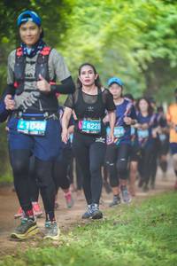BIB: 6228, 41046
                            <button type="button" onclick="openModal(4345971)" class="btn btn-primary btn-sm float-right btn-popup" data-toggle="modal" data-target=".modal-high-quality">
                        <i class="fas fa-shopping-cart"></i> Add to Cart
                    </button>
                                            <button type="button" onclick="isThisMe(4345971, true)" class="btn btn-success btn-sm float-right btn-popup btn-isme hidden" data-toggle="tooltip" data-placement="bottom" title="นี่คือรูปของคุณใช่ไหม คลิกที่นี่เพื่อเอาเข้าอัลบั้ม">
                        <i class="fas fa-plus"></i> Add to album
                    </button>
                    <button type="button" onclick="isThisMe(4345971, false)" class="btn btn-warning btn-sm float-right btn-popup btn-isnotme hidden">
                        <i class="fas fa-ban"></i> Remove from album
                    </button>