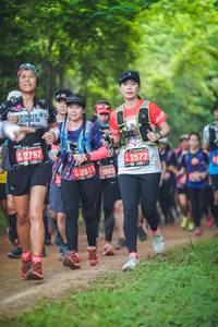 BIB: 2797, 2572, 2811, 983, 
                            <button type="button" onclick="openModal(4330239)" class="btn btn-primary btn-sm float-right btn-popup" data-toggle="modal" data-target=".modal-high-quality">
                        <i class="fas fa-shopping-cart"></i> Add to Cart
                    </button>
                                            <button type="button" onclick="isThisMe(4330239, true)" class="btn btn-success btn-sm float-right btn-popup btn-isme hidden" data-toggle="tooltip" data-placement="bottom" title="นี่คือรูปของคุณใช่ไหม คลิกที่นี่เพื่อเอาเข้าอัลบั้ม">
                        <i class="fas fa-plus"></i> Add to album
                    </button>
                    <button type="button" onclick="isThisMe(4330239, false)" class="btn btn-warning btn-sm float-right btn-popup btn-isnotme hidden">
                        <i class="fas fa-ban"></i> Remove from album
                    </button>