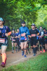 BIB: 2499, 2498, 2803
                            <button type="button" onclick="openModal(4328229)" class="btn btn-primary btn-sm float-right btn-popup" data-toggle="modal" data-target=".modal-high-quality">
                        <i class="fas fa-shopping-cart"></i> Add to Cart
                    </button>
                                            <button type="button" onclick="isThisMe(4328229, true)" class="btn btn-success btn-sm float-right btn-popup btn-isme hidden" data-toggle="tooltip" data-placement="bottom" title="นี่คือรูปของคุณใช่ไหม คลิกที่นี่เพื่อเอาเข้าอัลบั้ม">
                        <i class="fas fa-plus"></i> Add to album
                    </button>
                    <button type="button" onclick="isThisMe(4328229, false)" class="btn btn-warning btn-sm float-right btn-popup btn-isnotme hidden">
                        <i class="fas fa-ban"></i> Remove from album
                    </button>