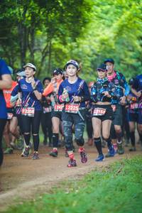 BIB: 2472225, 2153, 225, 187
                            <button type="button" onclick="openModal(4330919)" class="btn btn-primary btn-sm float-right btn-popup" data-toggle="modal" data-target=".modal-high-quality">
                        <i class="fas fa-shopping-cart"></i> Add to Cart
                    </button>
                                            <button type="button" onclick="isThisMe(4330919, true)" class="btn btn-success btn-sm float-right btn-popup btn-isme hidden" data-toggle="tooltip" data-placement="bottom" title="นี่คือรูปของคุณใช่ไหม คลิกที่นี่เพื่อเอาเข้าอัลบั้ม">
                        <i class="fas fa-plus"></i> Add to album
                    </button>
                    <button type="button" onclick="isThisMe(4330919, false)" class="btn btn-warning btn-sm float-right btn-popup btn-isnotme hidden">
                        <i class="fas fa-ban"></i> Remove from album
                    </button>