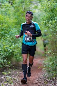 BIB: 3977
                            <button type="button" onclick="openModal(4210533)" class="btn btn-primary btn-sm float-right btn-popup" data-toggle="modal" data-target=".modal-high-quality">
                        <i class="fas fa-shopping-cart"></i> Add to Cart
                    </button>
                                            <button type="button" onclick="isThisMe(4210533, true)" class="btn btn-success btn-sm float-right btn-popup btn-isme hidden" data-toggle="tooltip" data-placement="bottom" title="นี่คือรูปของคุณใช่ไหม คลิกที่นี่เพื่อเอาเข้าอัลบั้ม">
                        <i class="fas fa-plus"></i> Add to album
                    </button>
                    <button type="button" onclick="isThisMe(4210533, false)" class="btn btn-warning btn-sm float-right btn-popup btn-isnotme hidden">
                        <i class="fas fa-ban"></i> Remove from album
                    </button>