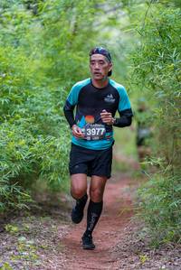 BIB: 3977, 
                            <button type="button" onclick="openModal(4210513)" class="btn btn-primary btn-sm float-right btn-popup" data-toggle="modal" data-target=".modal-high-quality">
                        <i class="fas fa-shopping-cart"></i> Add to Cart
                    </button>
                                            <button type="button" onclick="isThisMe(4210513, true)" class="btn btn-success btn-sm float-right btn-popup btn-isme hidden" data-toggle="tooltip" data-placement="bottom" title="นี่คือรูปของคุณใช่ไหม คลิกที่นี่เพื่อเอาเข้าอัลบั้ม">
                        <i class="fas fa-plus"></i> Add to album
                    </button>
                    <button type="button" onclick="isThisMe(4210513, false)" class="btn btn-warning btn-sm float-right btn-popup btn-isnotme hidden">
                        <i class="fas fa-ban"></i> Remove from album
                    </button>